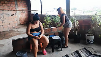 Pareja De Lesbianas Amateur Disfrutan De Una Intensa Follada De Coño Al Aire Libre